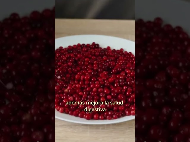 Vídeo relacionado con Té de frutas de las montañas de los Alpes - El mejor té de hierbas con sabor a arándano 4 paquetes por 20 bolsas (80 bolsas de té) (bolsitas mágicas de té de arándano - 80 bolsas)