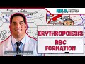 Hematology | Erythropoiesis: Red Blood Cell Formation: Part 1