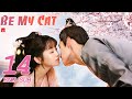 ENG SUB [Be My Cat] EP14 | Fantasy Costume Romantic Drama | starring: Tian Xi Wei, Kevin Xiao