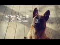 NOTHING MORE Ft Chris Daughtry FREEFALL Official Music Video