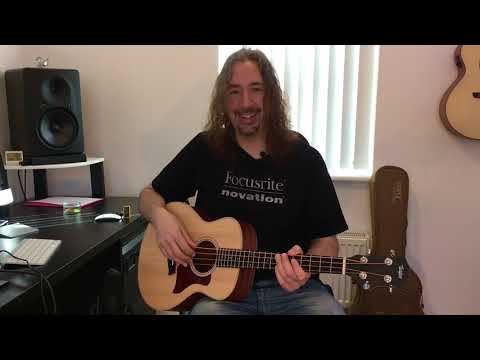 Taylor GS Mini Acoustic Bass Review BassChat