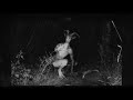 Sound Production Gin Creepy Scary Horror Synth Tension Creepy TikTok Synth Music
