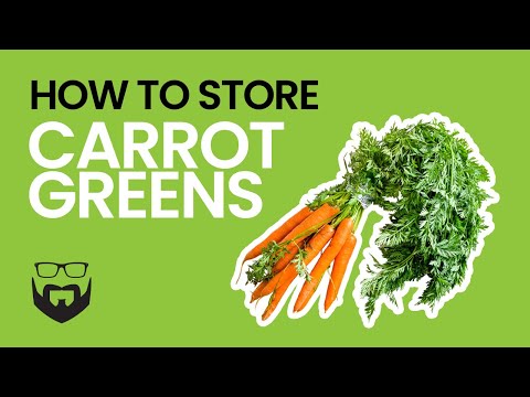 How to Store Carrot Greens