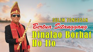 Download lagu DINALAO BORHAT HO ITO BERTUA SITANGGANG SULIM TONGOSAN mp3