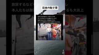 #政治 #政治ニュース #政治系チャンネル #時事ネタ #shorts