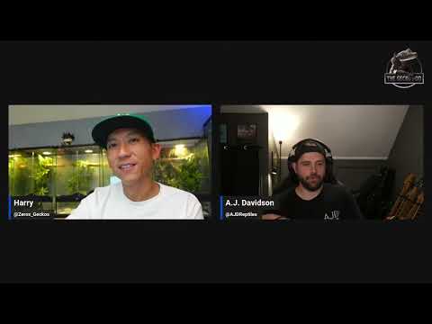 Ep. 80 | Live Pod Q&A Chat