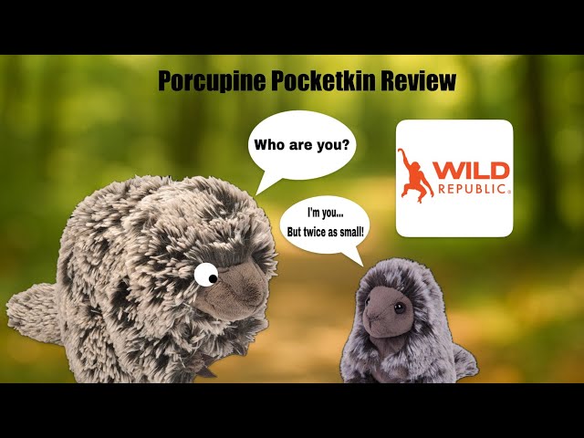 Vídeo relacionado con Wild Republic Pocketkins Eco Beagle, Peluche, 12 cm, Juguete de Peluche, Hecho de Materiales Reciclados, Ecológico