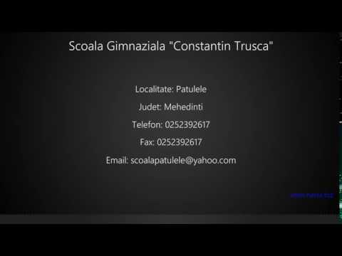 Scoala Gimnaziala "Constantin Trusca" Patulele