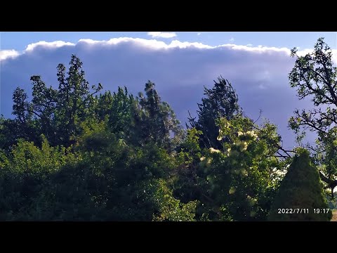 Rodzinne wczasy pod gruszą. Memory.