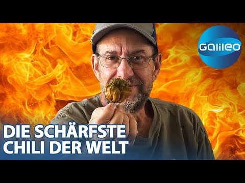 2.693.000 Scoville: Wie kreierte Ed Currie die schärfste Chili der Welt?