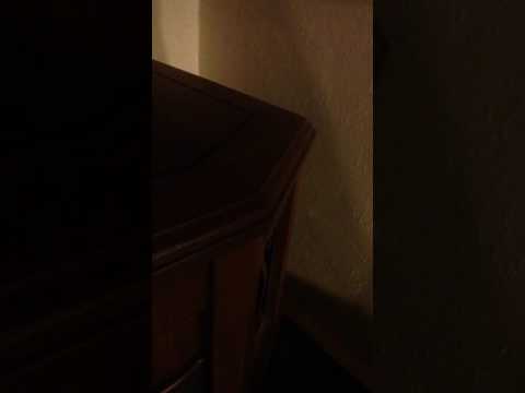 Doctor Jean: Mother Gooney Bird; English And Spanish Versions