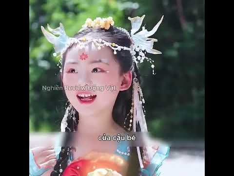 Con cá chép này đã cứu ân nhân của mình bằng chính những chiếc vảy cá của nó.