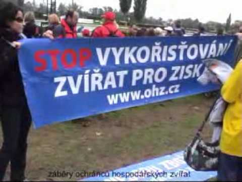 Protest 119. Velká Pardubická