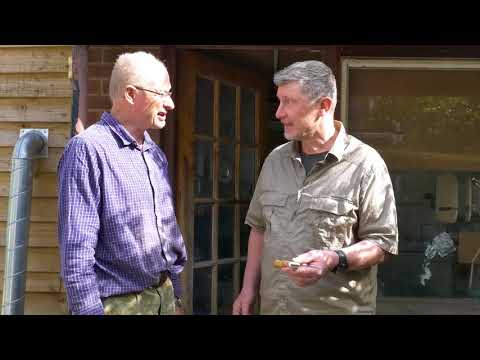 Vorpal Tiger Hidden tang knife