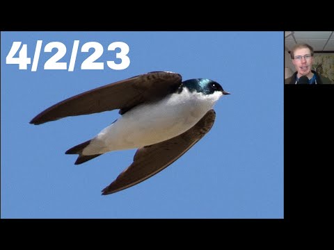 [33] Cold, sunny day at the Braddock Bay Hawk Watch, April 2nd, 2023