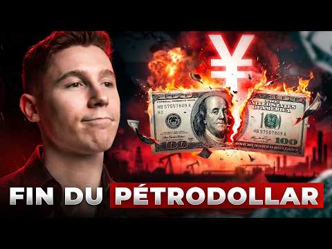 Chute du dollar : Comment se protéger
