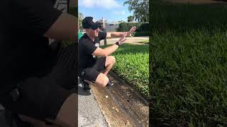 DO THIS IF YOU HAVE A ST. AUGUSTINE LAWN