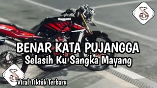 Download lagu DJ FUNKOT BENAR KATA PUJANGGA SELASIH KU SANGKA MAYANG || BENCI KU SANGKA SAYANG VIRAL TIKTOK !!  mp3