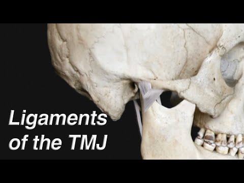 Ligaments of the Temporomandibular Joint or TMJ (Jaw Joint)