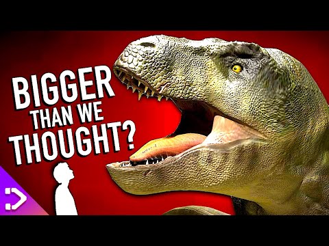 How BIG Was The T-REX REALLY!? (New Discovery)