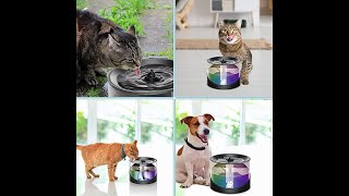 how to clean Cat Water Fountain, Dog Bowl Dispenser, Super Quiet Water Fountain for Cats Inside