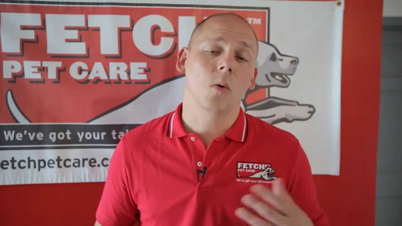 Fetch Pet Care