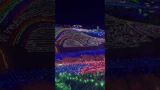 【イルミネーション】国営讃岐まんのう公園⭐︎251227_part4