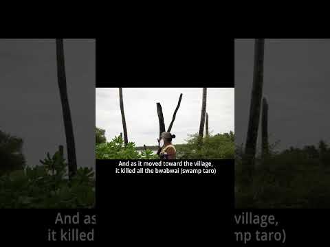 Rising Stories Short Kiribati - Maiana