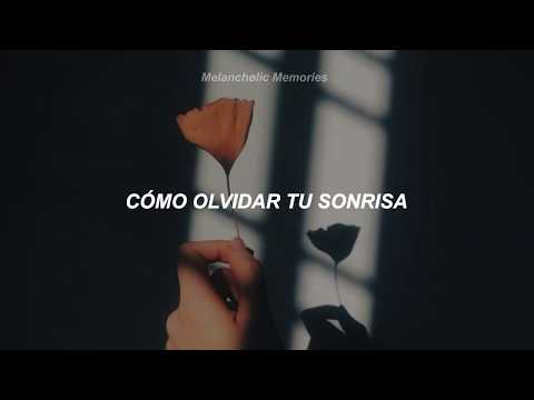 Enrique Iglesias - Nunca Te Olvidaré (Letra)