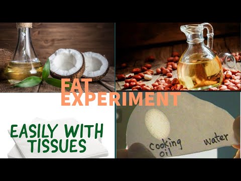 FAT EXPERIMENT || HOW TO FIND THE PRESENCE OF FAT IN FOOD ITEMS ?