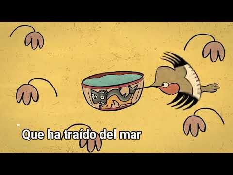 Colibrí Y La Lluvia video