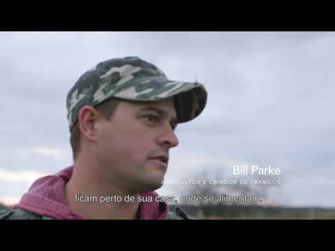 SABOROLOGIA, EPISÓDIO I: ORIGEM - O SABOR DAS ORIGENS