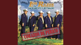 Tierra De Puros Torones