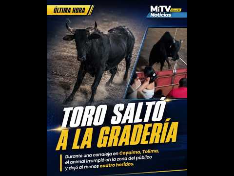 Un toro saltó a la gradería durante una corraleja en Coyaima, Tolima, y dejó al menos cuatro heridos
