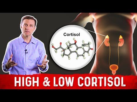 The Only Way to End Stress and Lower Cortisol