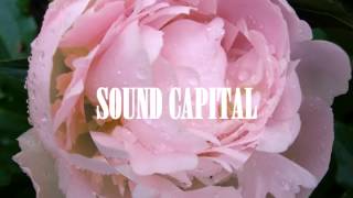 CRUISR - All Over (BEAR//FACE Remix)