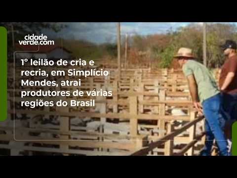 1º leilão de cria e recria, em Simplício Mendes, atrai produtores de várias regiões do Brasil