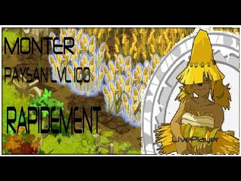 comment monter lvl 200 rapidement dofus