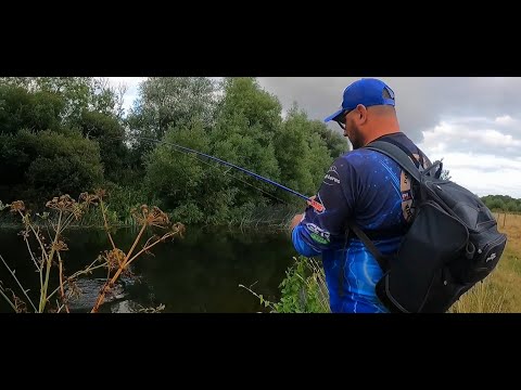 Mighty chub and pike / river spinning