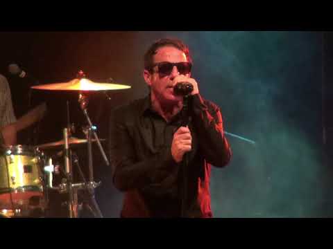 Dub Pistols - Gangsters (live at Freedom Sounds Festival)