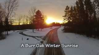 preview picture of video 'a burr oak winter sunrise'