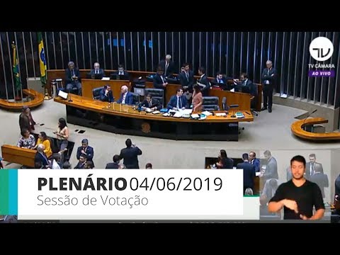 Plenário - Sessão de votação - 04/06/2019 - 19:52