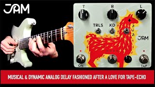 Video thumbnail for Jam Pedals Delay Llama Xtreme by Mike Hermans