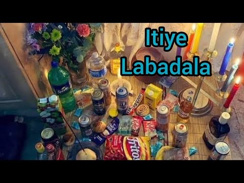 Itiye lesintu labadala/iladi nezizathu