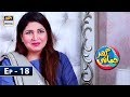 Ghar Jamai Episode 18 - 9th February 2019 - ARY Digital Drama