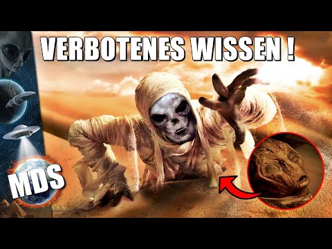 Egyptologists have just revealed a shocking discovery that calls EVERYTHING into question!