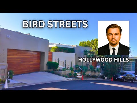 Driving the BIRD STREETS, Hollywood Hills | Los Angeles, California USA (4K 60FPS)