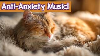 Gentle Sleep Music for Cats - Sweet Dreams, Kitty 🐱💤