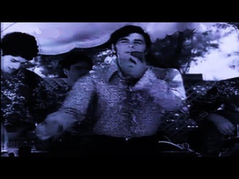 THE JEWELS (ΔΩΡΟΣ ΓΕΩΡΓΙΑΔΗΣ?) - NOBODY BUT ME | HUMAN BEINZ - SHAKE - GREECE 69