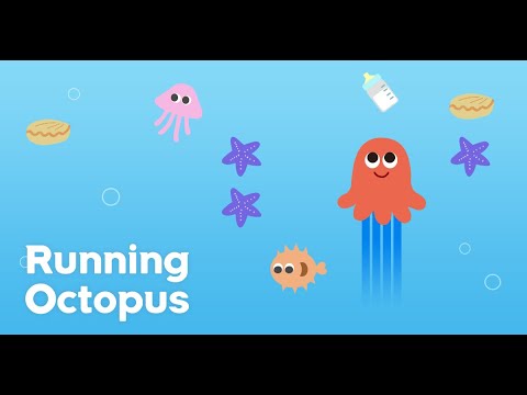Running Octopus
